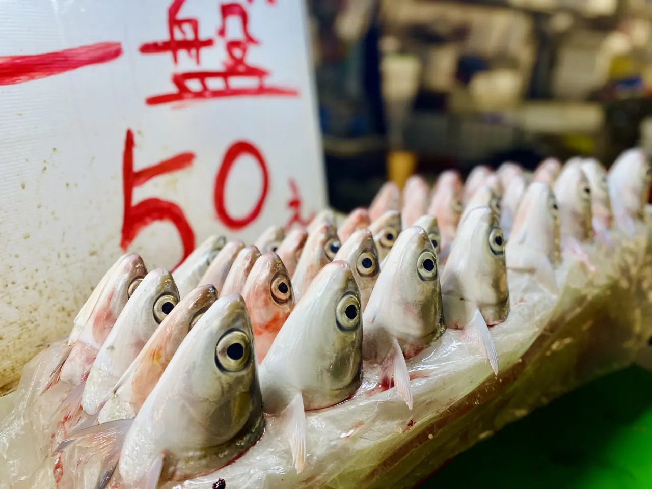 台南虱目魚爆缺貨「產地價飆破75元」！名店無奈連休4天　漁會曝原因