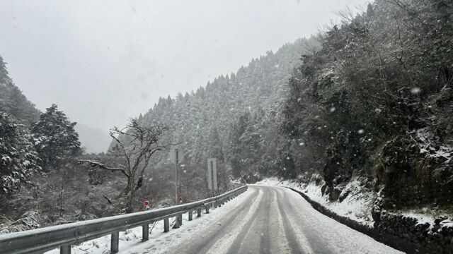 多圖｜小年夜首波寒流襲！武陵農場也下雪了 雪花紛飛銀白美景曝光｜知新聞