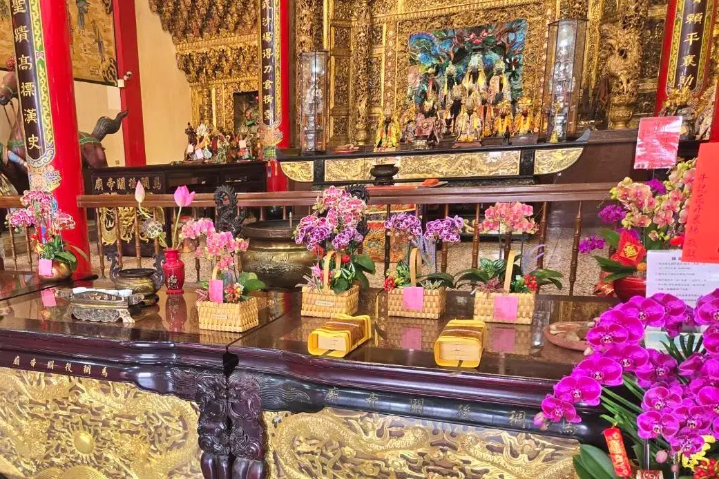 蘭花可買來敬神,還能帶回家觀賞。農業局提供