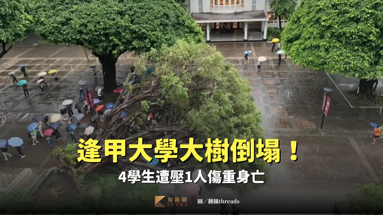 逢甲大學下午驚傳路樹倒塌,造成一名男學生當場失去生命徵象,緊急送醫搶救不治。翻攝Threads