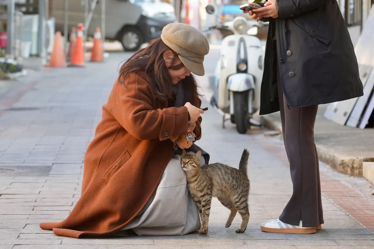 別以為身體扛得住！「冷到奪命」關鍵竟是「剛開始變冷」　6類人綁隱形炸彈