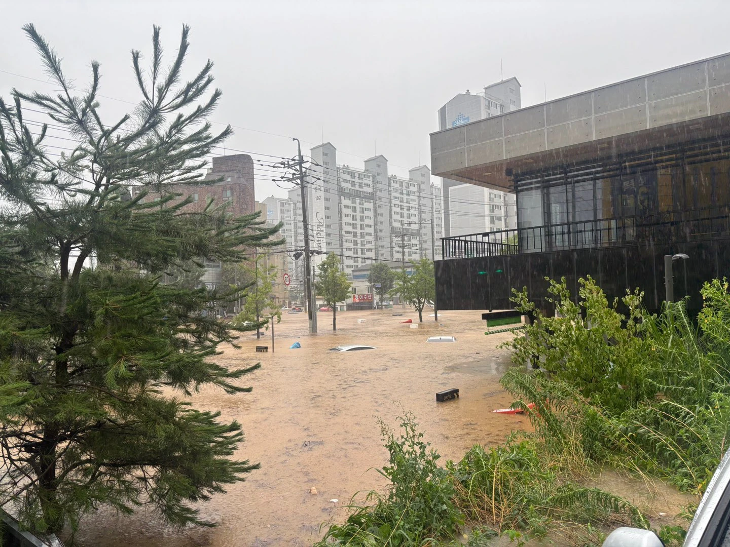 南韓網友17日分享光州市北區新安洞的星巴克停車場,大水幾乎淹沒車頂。翻攝X@gae_dding