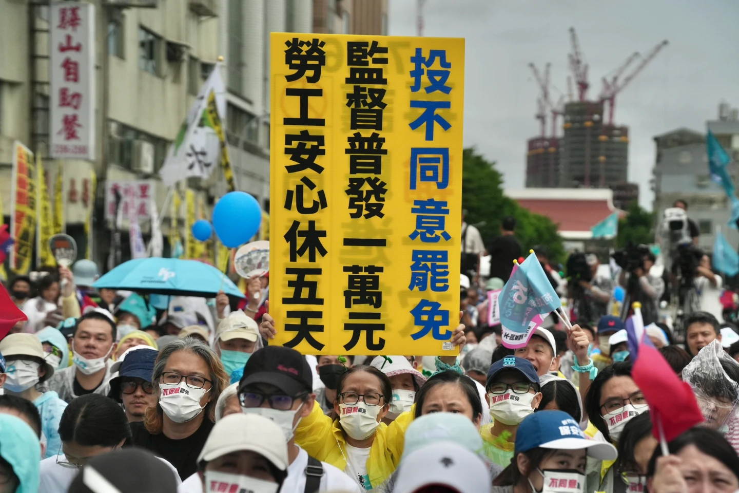 活動現場。林林攝