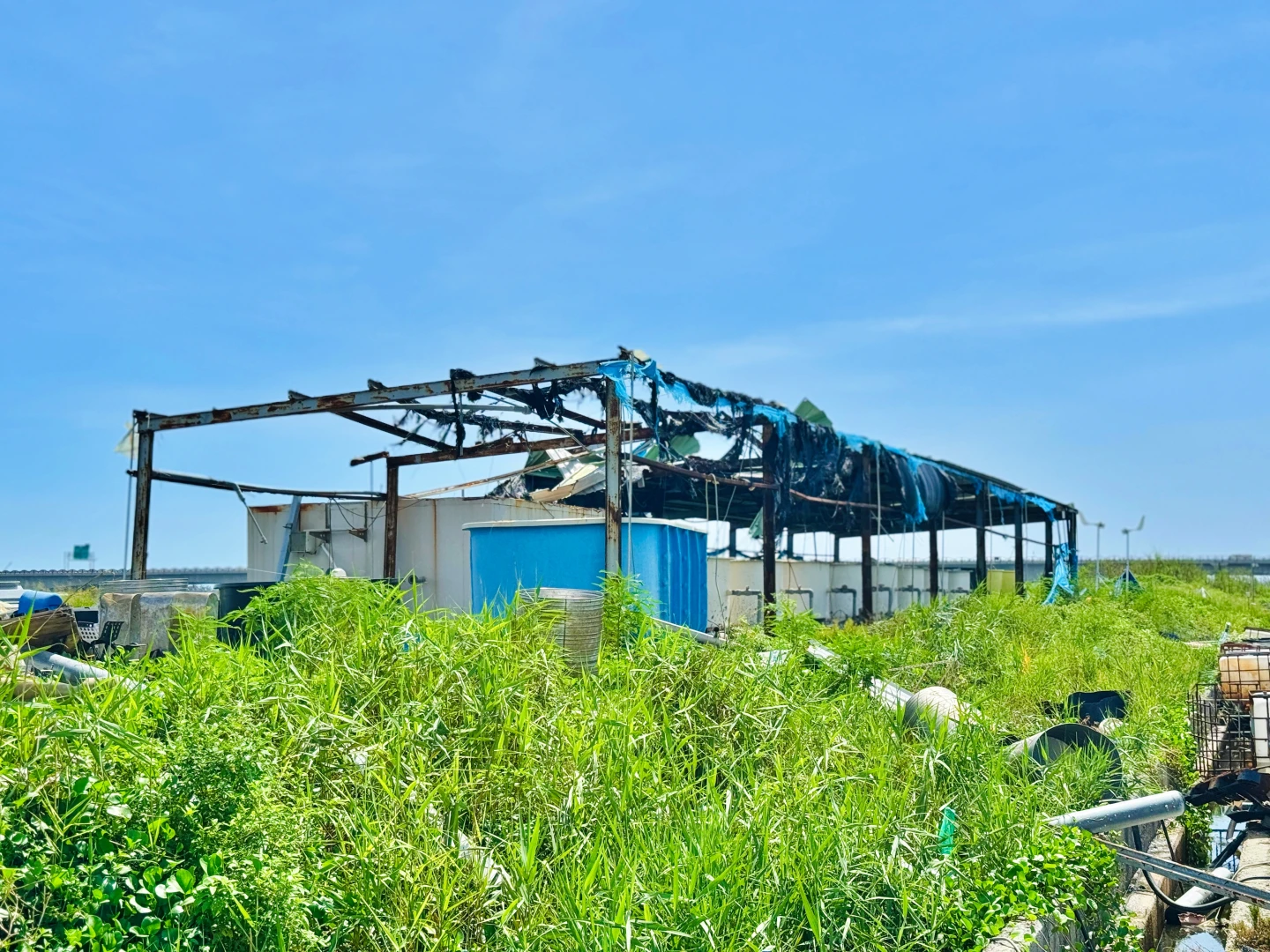 養殖鳳螺等貝類生產基地也遭強風重創,殘破不堪。王志弘攝