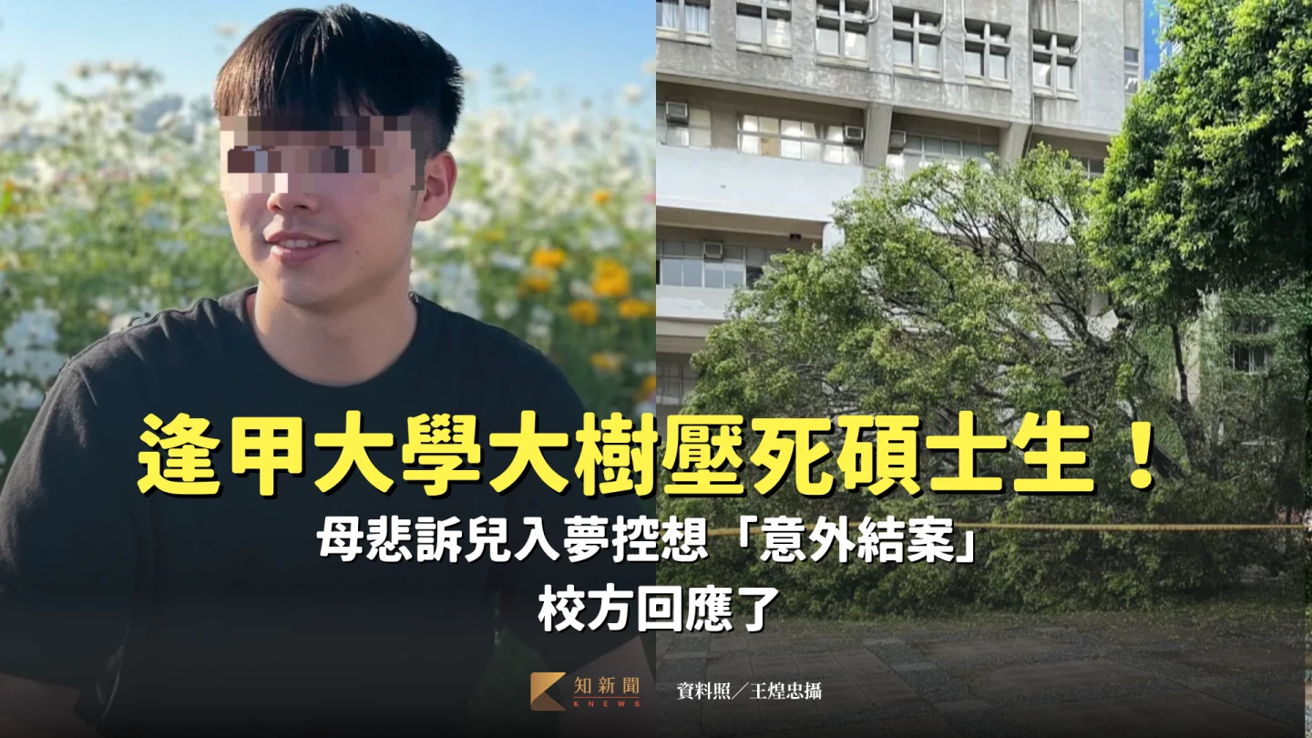 逢甲大學一棵60年大榕樹13日倒塌壓死吳姓碩士生。資料照片/王煌忠攝