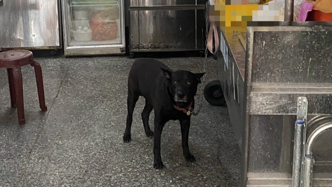 台中市一名張姓騎士行經小吃店遭店家飼養的黑犬攻擊咬傷,將對飼主提出傷害告訴,翻攝Threads