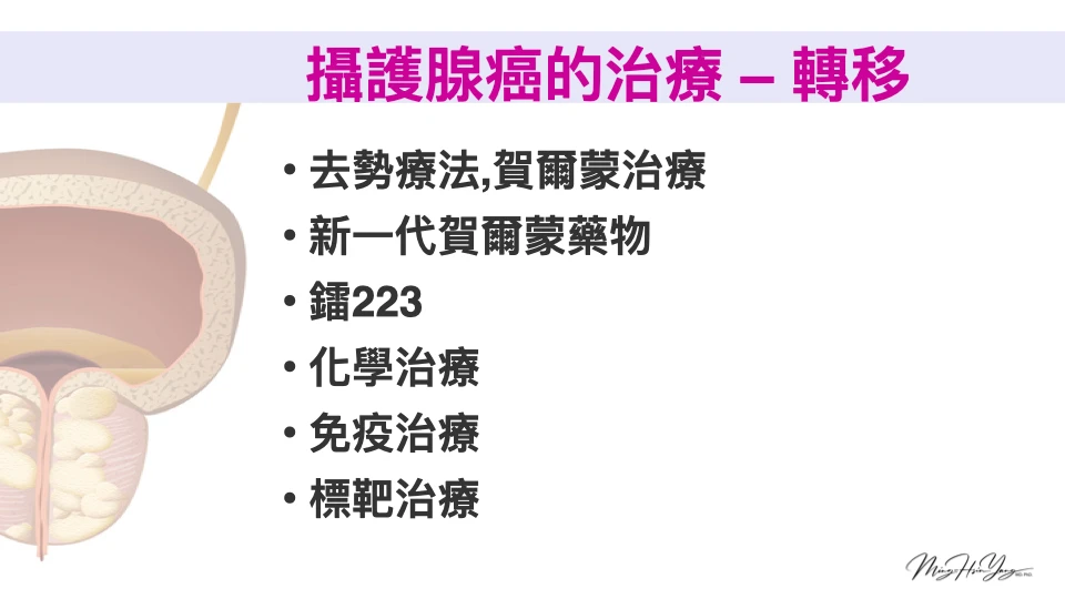 攝護腺癌治療種類。三總提供