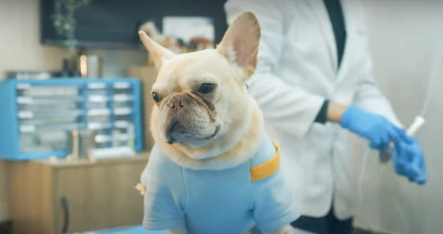 擷取牧騰生技影片截圖。