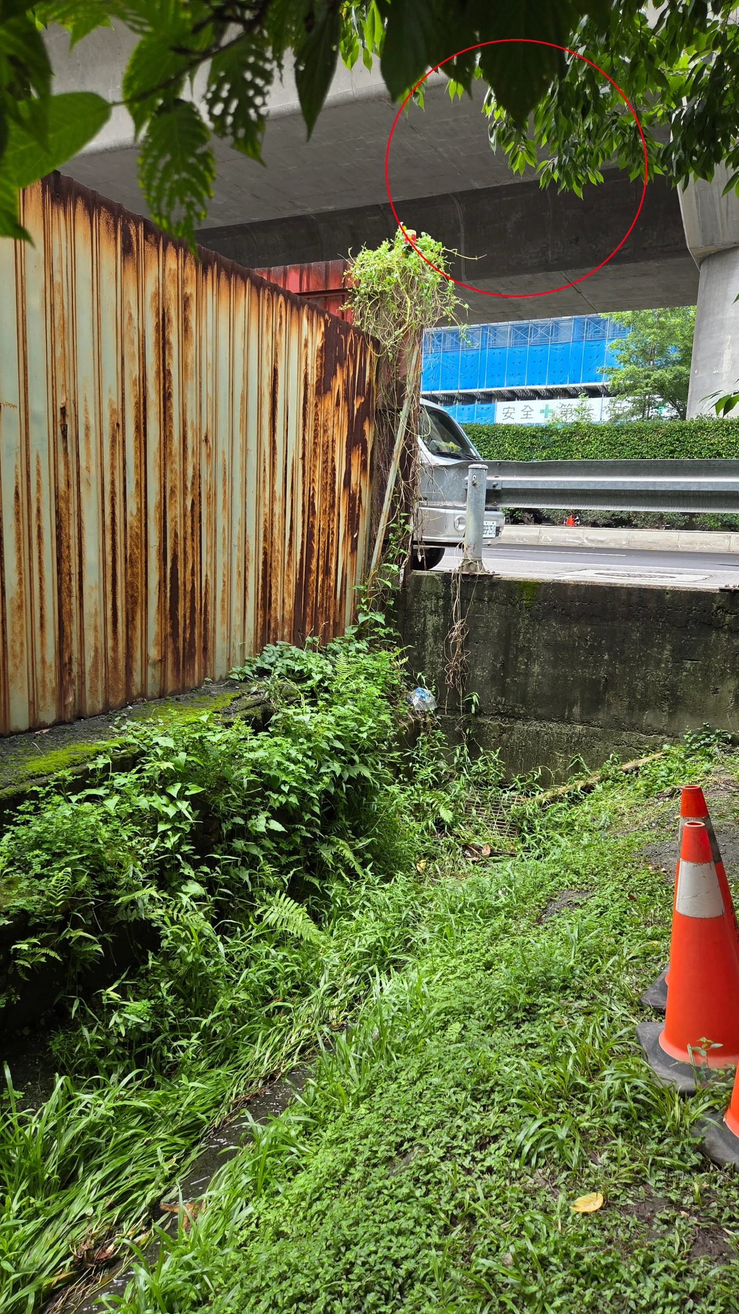 新莊箱屍案,棄屍位置臨靠台65高架道路,目前已排除從高處拋落棄屍。曾伯愷攝
