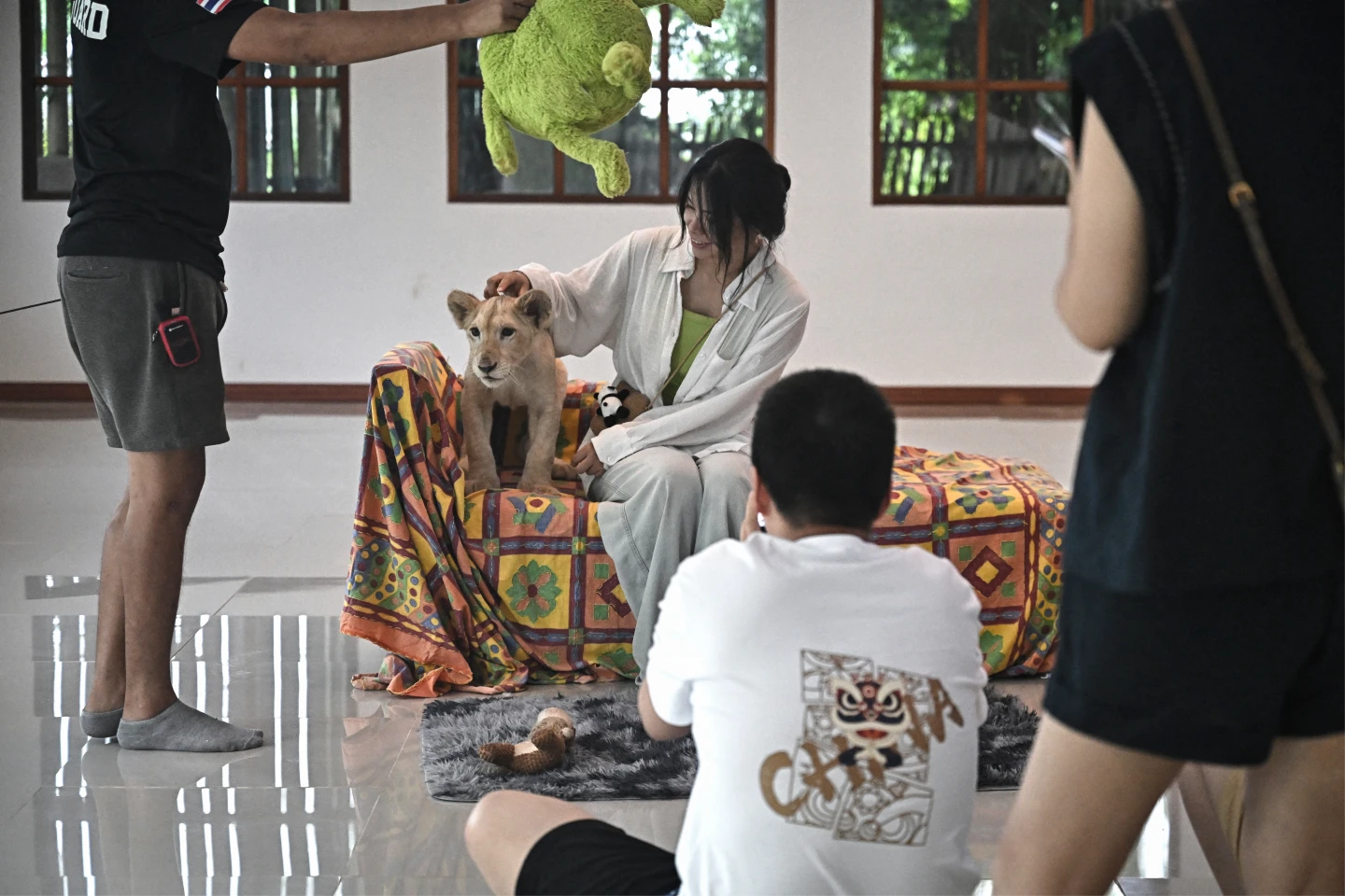 泰國許多異寵咖啡廳拿可愛的小獅子當賣點,等小獅子長大再退回繁殖場,換一批新的小獅子來。法新社