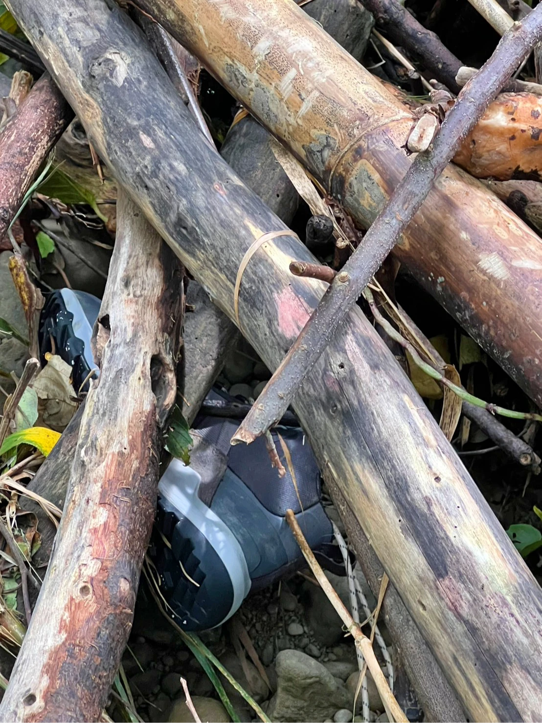 後續找到山有登山鞋。民眾提供