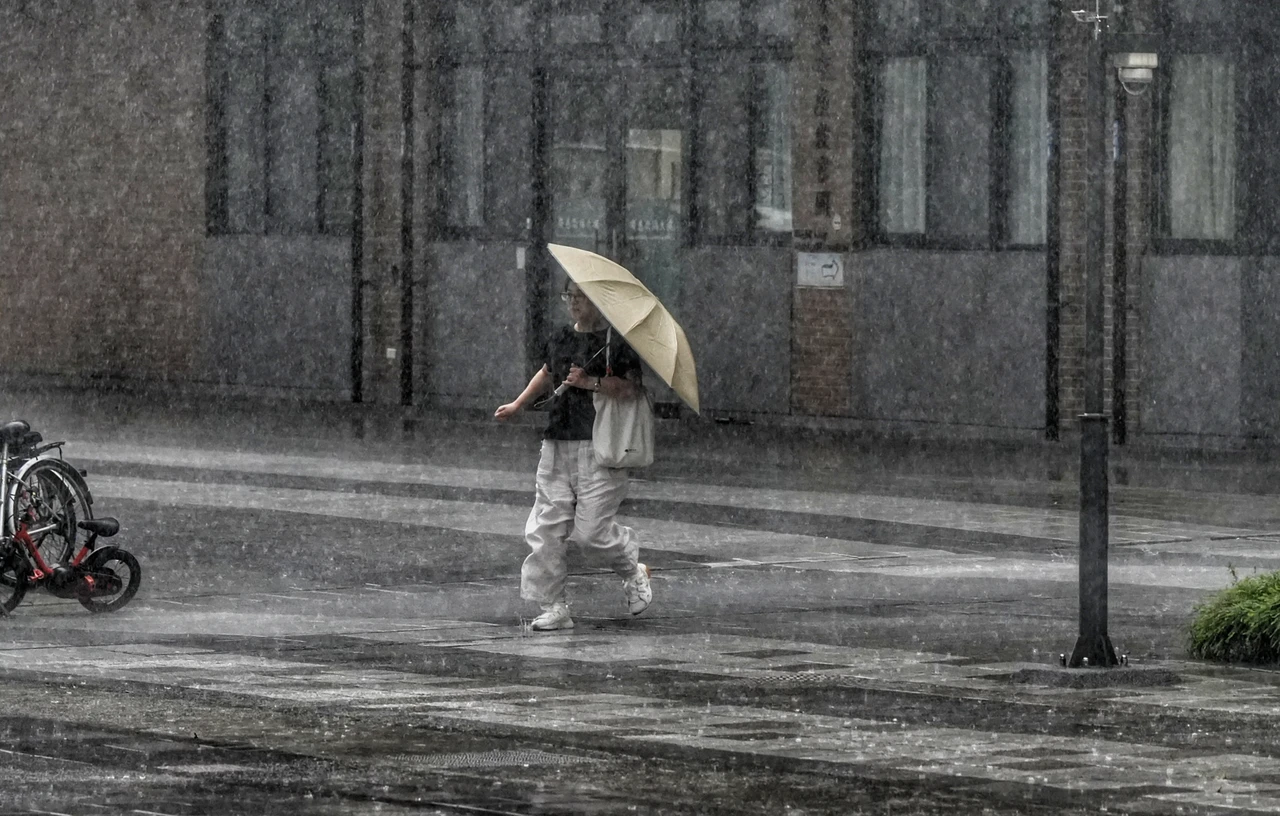 估雨勢集中西半部山區至平地。葉志明攝
