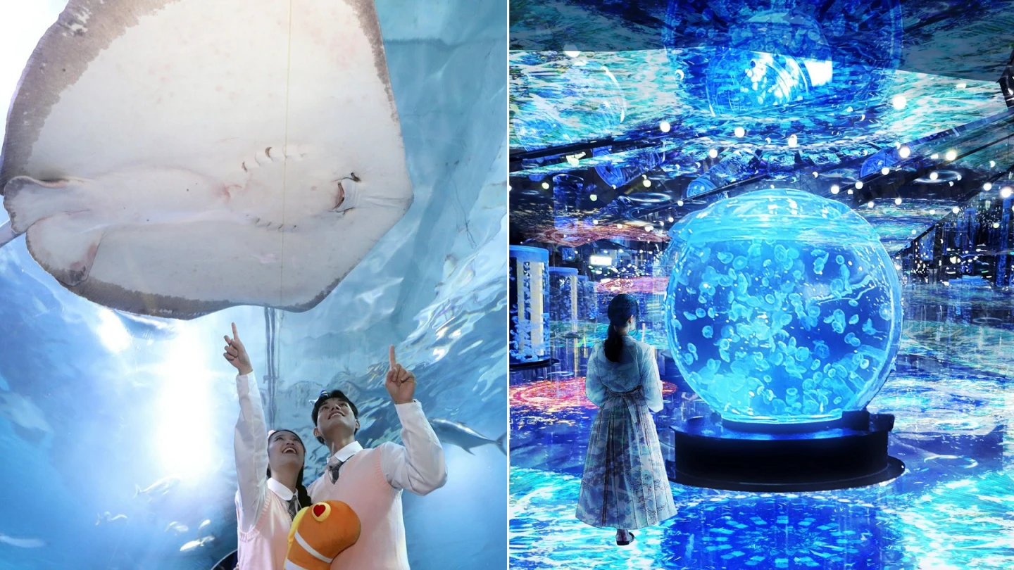 遠雄海洋公園與Xpark是國內知名水族館。取自遠雄海洋公園、Xpark臉書