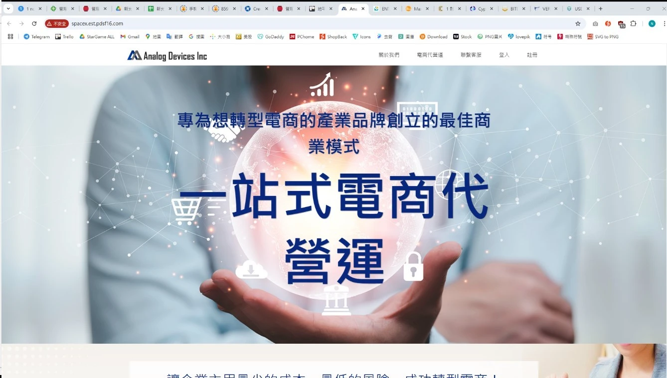 詐網公司還有專屬美編提升詐網質感。翻攝畫面