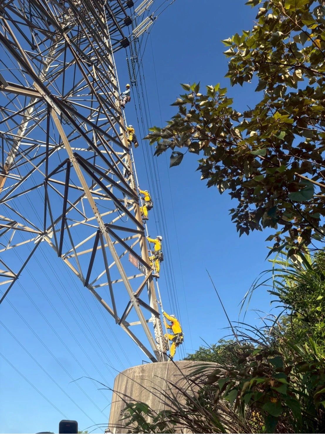 台電人員和特搜隊小心翼翼往上爬。翻攝自桃園特搜義消第一分隊臉書