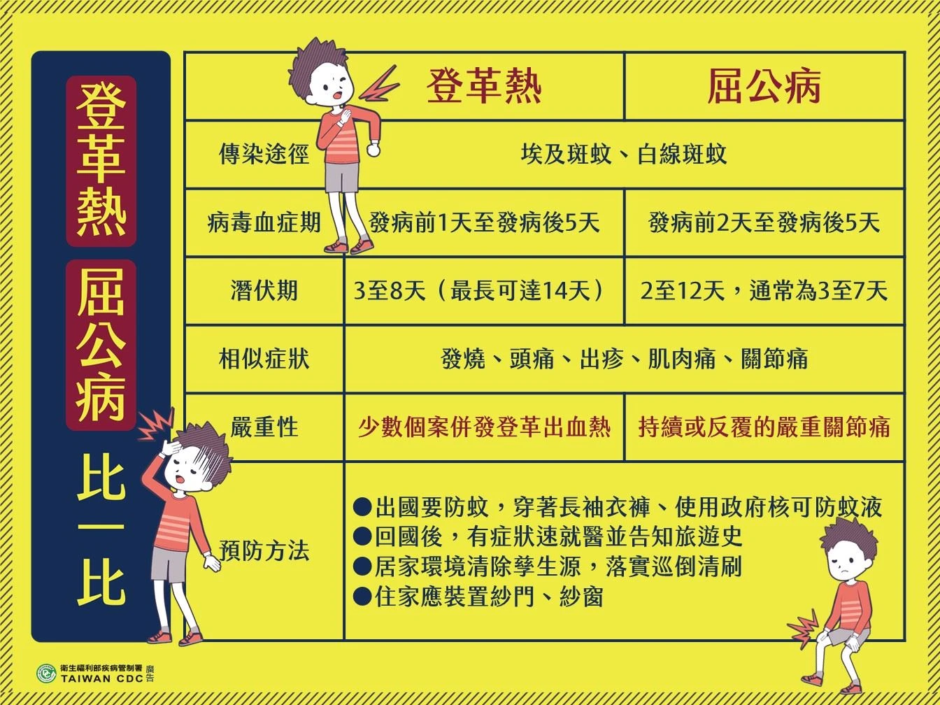 登革熱和屈公病差異。翻攝自疾管署