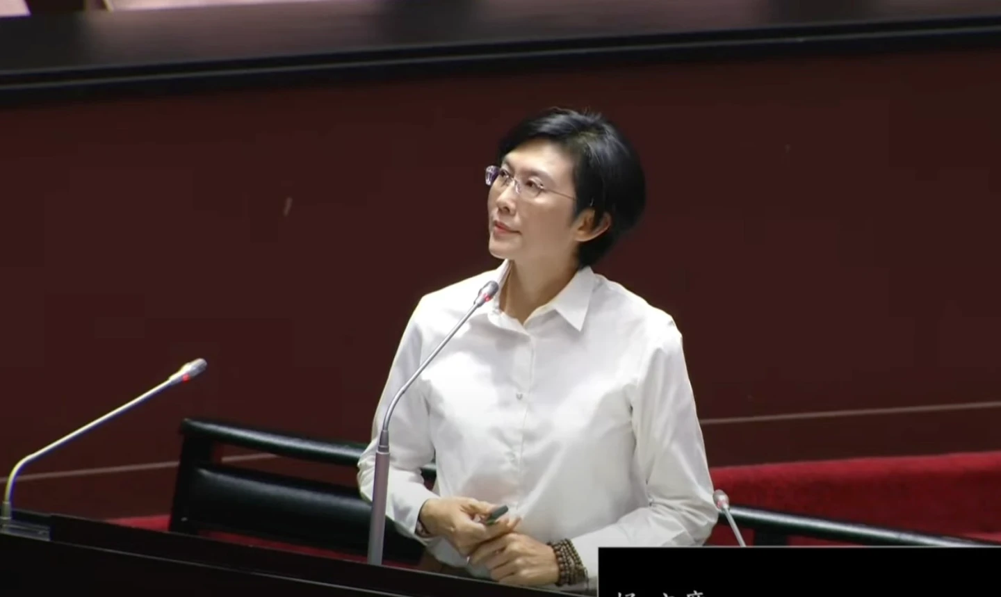 綠委林岱樺希望政府讓人民感受到溫度、有靠山。林辦提供