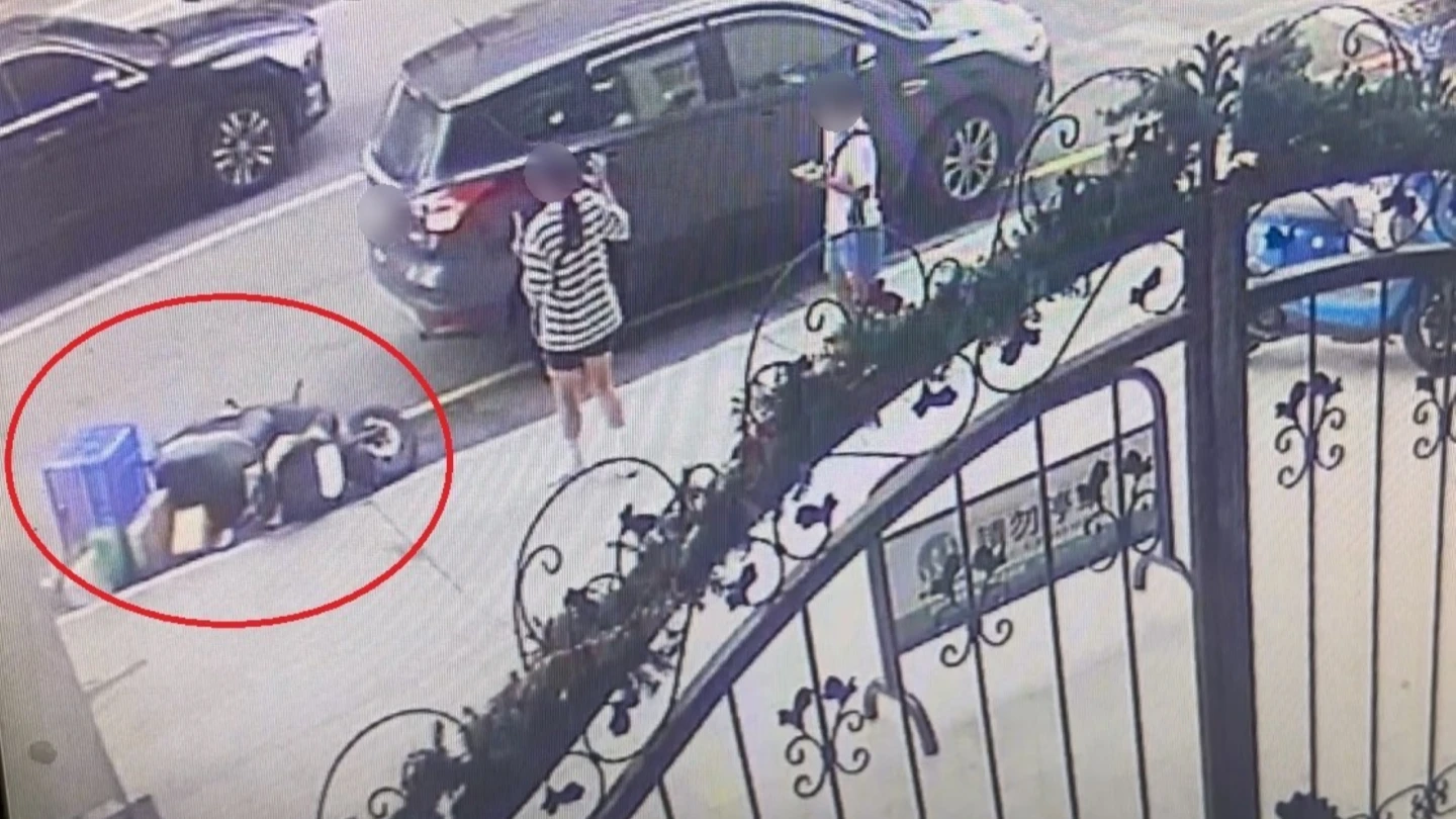 台中市一名邱姓男子,駕駛休旅車倒車時撞倒後方停放機車,肇事後卻加速離去,一對男女正好目擊過程,協助騎士報案揪出肇事者。民眾提供