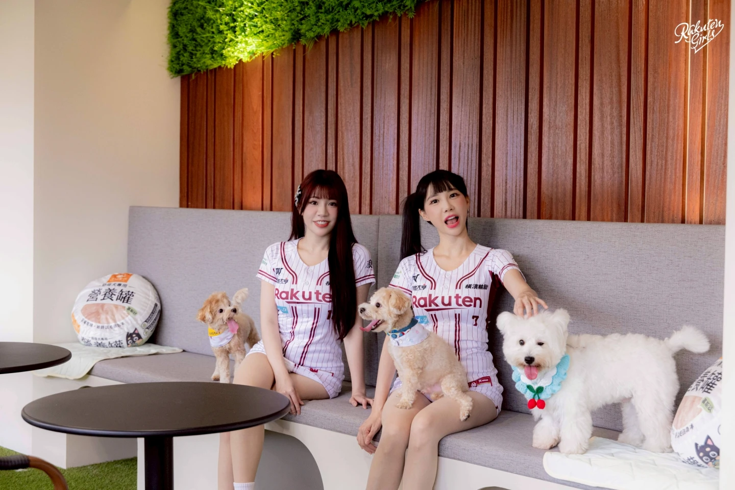 樂天桃猿推出全台首座結合職業棒球與寵物友善設施的「遠東商銀寵物樂園」。樂天桃猿提供