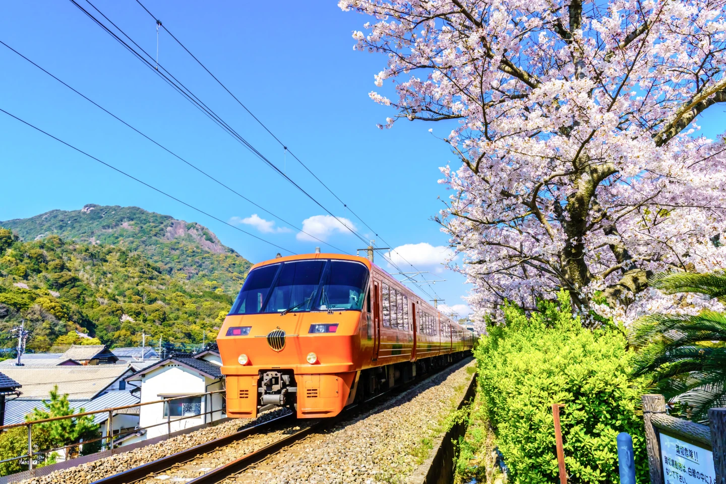 55歲台女遊日誤闖平交道遭撞亡　目擊者：她當時似乎誤判方向