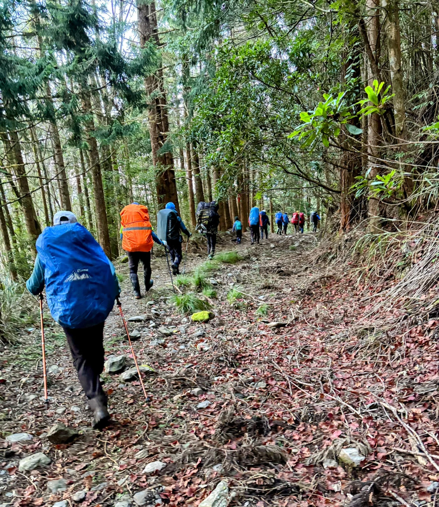 女山友熱愛高山,社群裡都是和山友們的登山回憶。取自FB @ 詹姓女山友