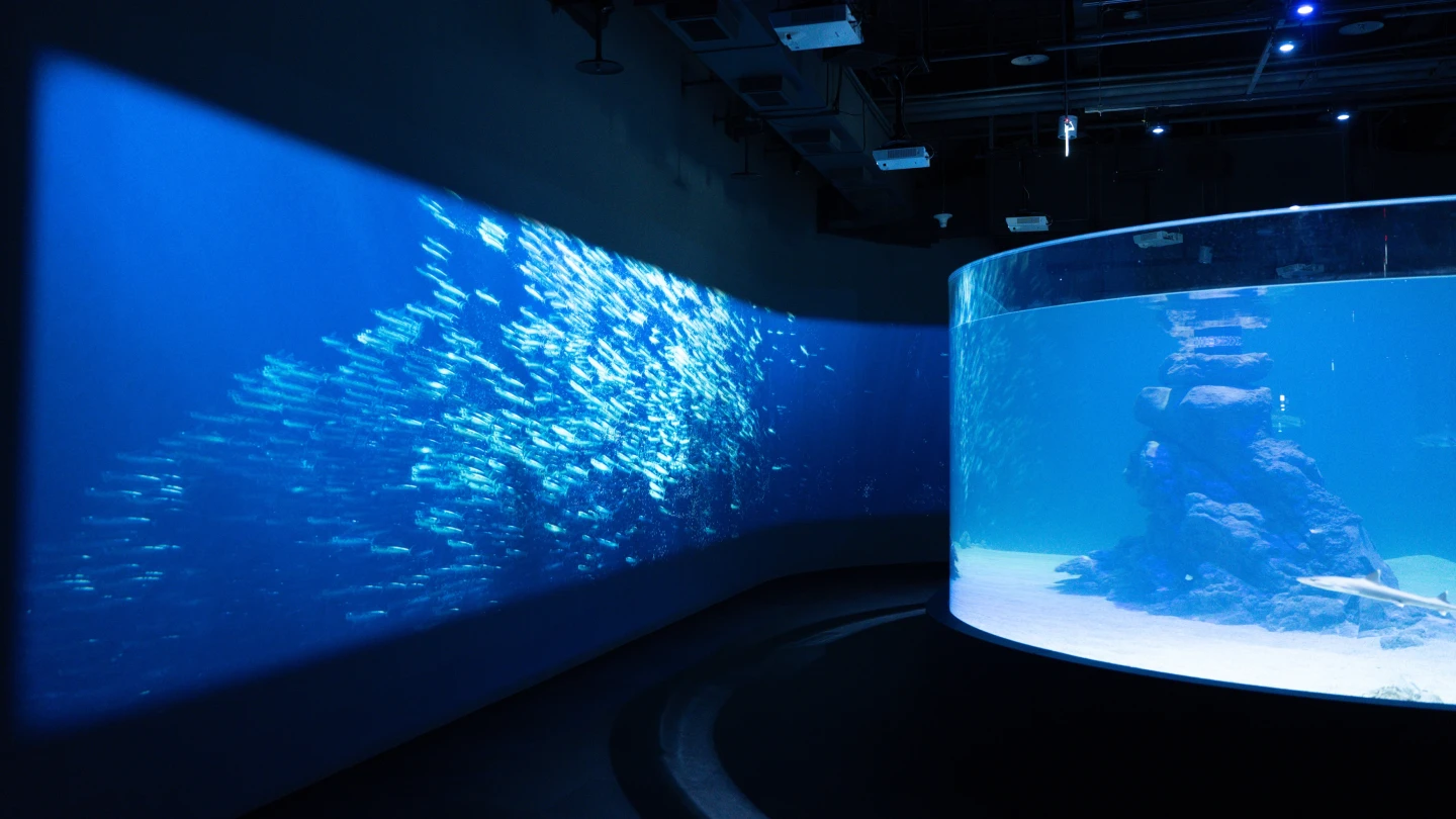 360度的全透明無邊際鯊魚展示缸,結合沉浸互動投影,重塑遊客的視覺感官。業者提供