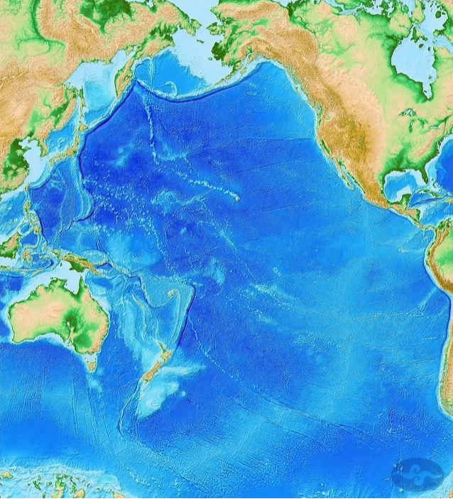 德雷克海峽今早發生8.0地震,深度僅10公里。取自中央氣象署