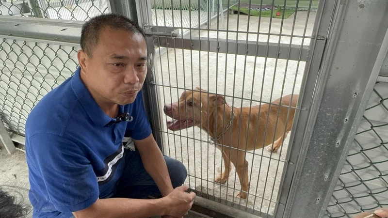 兩度跳出車窗咬傷人的比特犬Lucky,27日在台北市動物保護處護送下移居到雲林縣莿桐鄉生活,新飼主蔡姓男子不忍牠被安樂死,因此花40萬元蓋新居,盼Lucky獲新生活。中央社