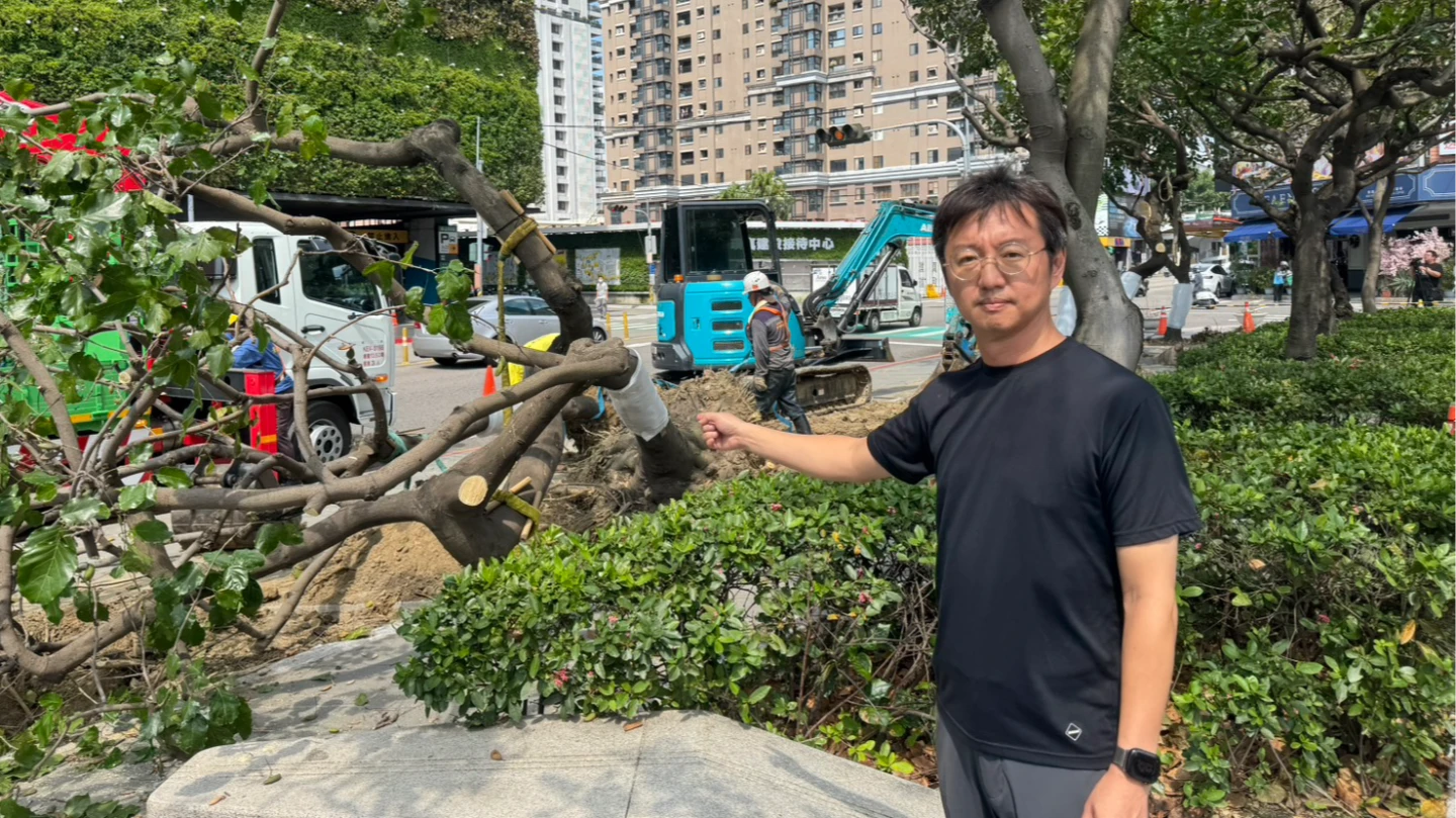 台中市議員江肇國對於市府為了10天爵士音樂節移除路樹,痛批荒唐。江肇國提供