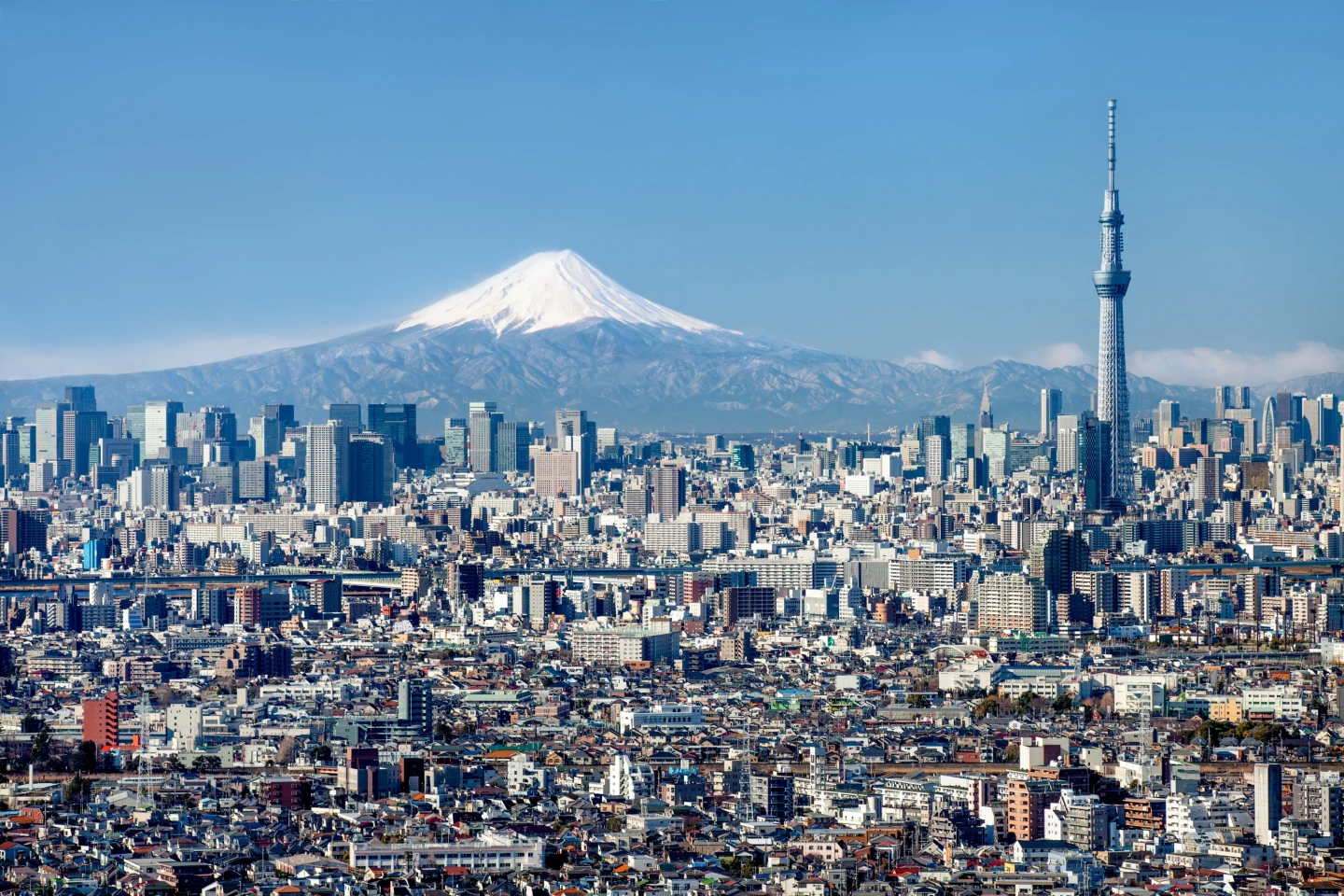 「東京燒翻賣」5日優惠價20,888元起。可樂旅遊提供