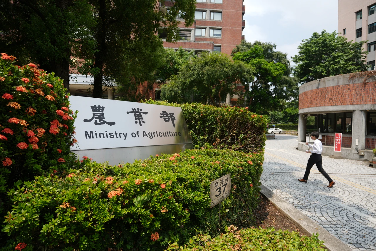 農業部擬全面禁廚餘養豬　1年過度期限用事業廚餘、屠宰下腳料