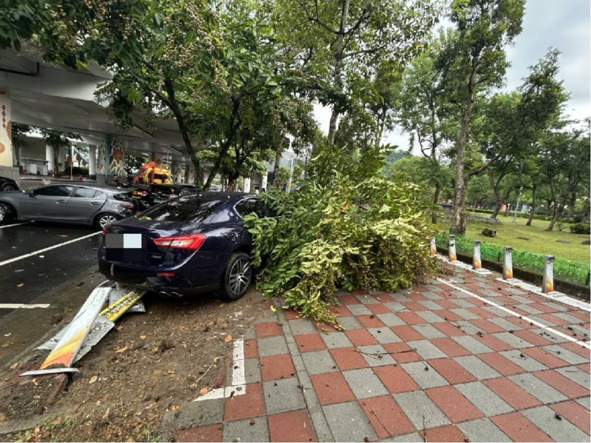車禍現場。翻攝畫面