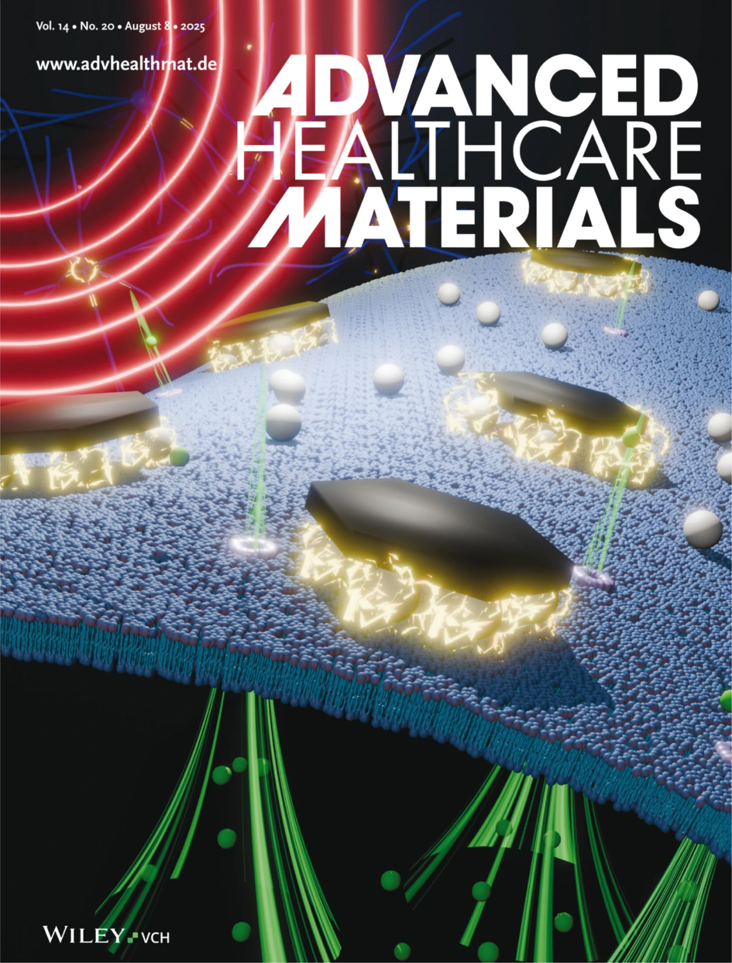 此研究發表於頂尖國際期刊《先進醫療材料》(Advanced Healthcare Materials),更被選為當期封底。陽明交大提供