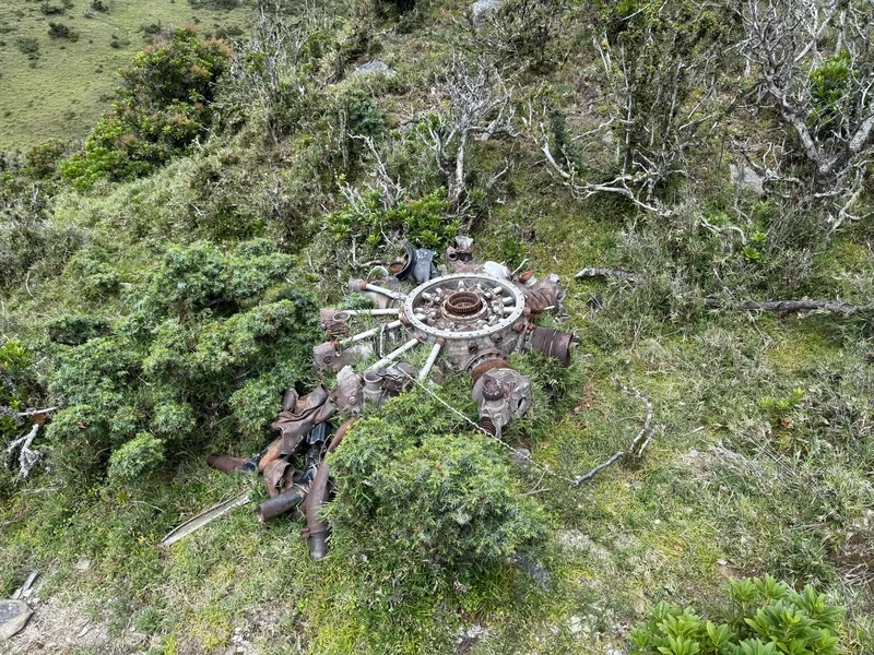 1945年載運戰俘歸國的美國軍機在中央山脈三叉山附近墜毀,機上25人全部罹難。2025年是二戰結束80周年,記者重返三叉山事件的拉庫音溪現場,看到包括機輪、引擎、蒙皮等大小零件散落滿地。中央社