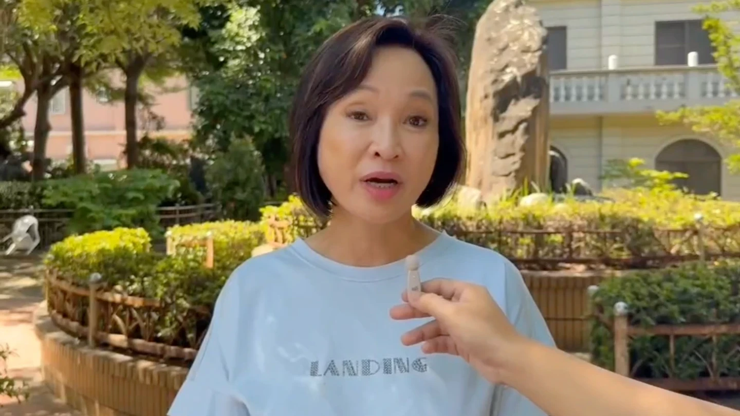 柯志恩呼籲執政黨應放掉所謂的意識形態,對能源政策做總檢討。民眾提供