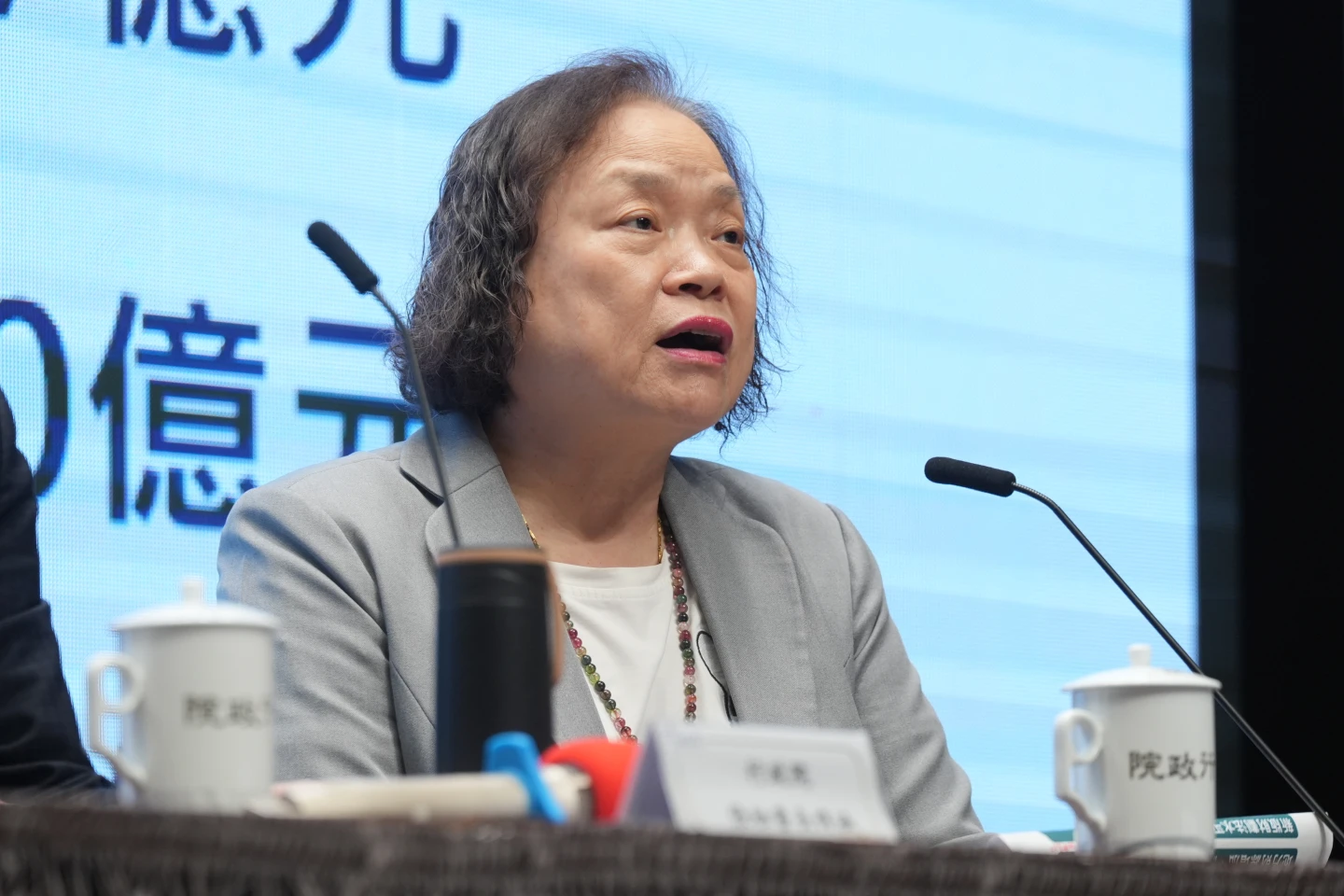 陳淑姿表示財劃法修法,迫中央不得不調整對地方的補助項目、範圍。陳卓邦攝