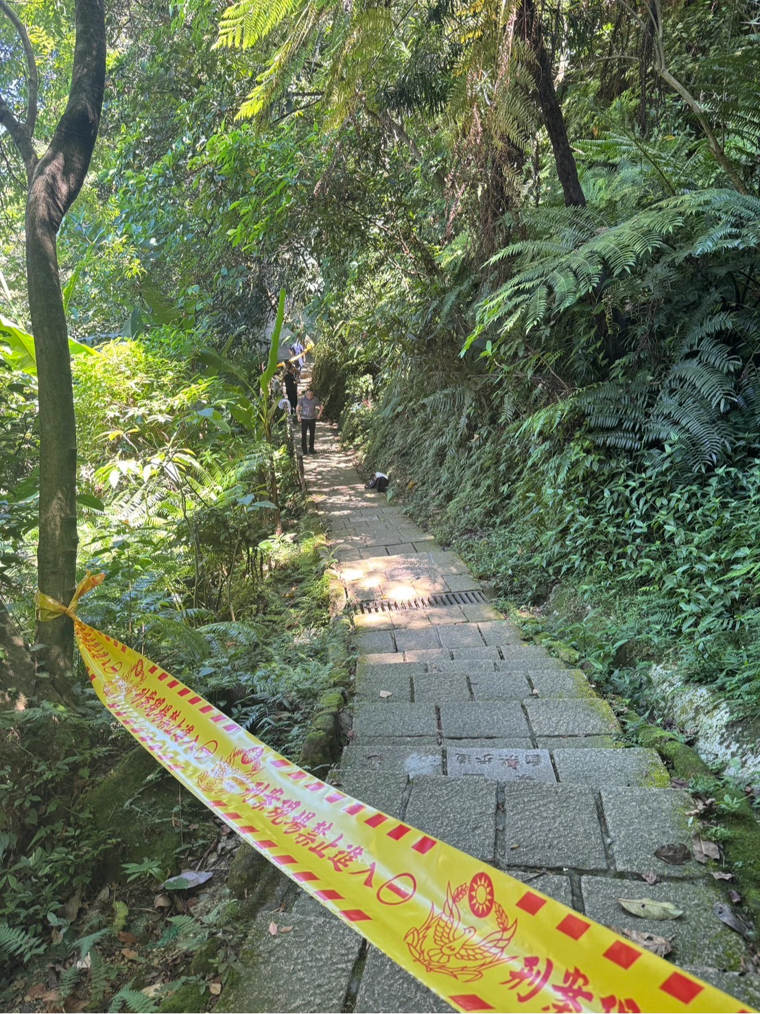 北市信義區象山步道往一線天方向有腐屍味,警方前往後發現屍體。翻攝畫面