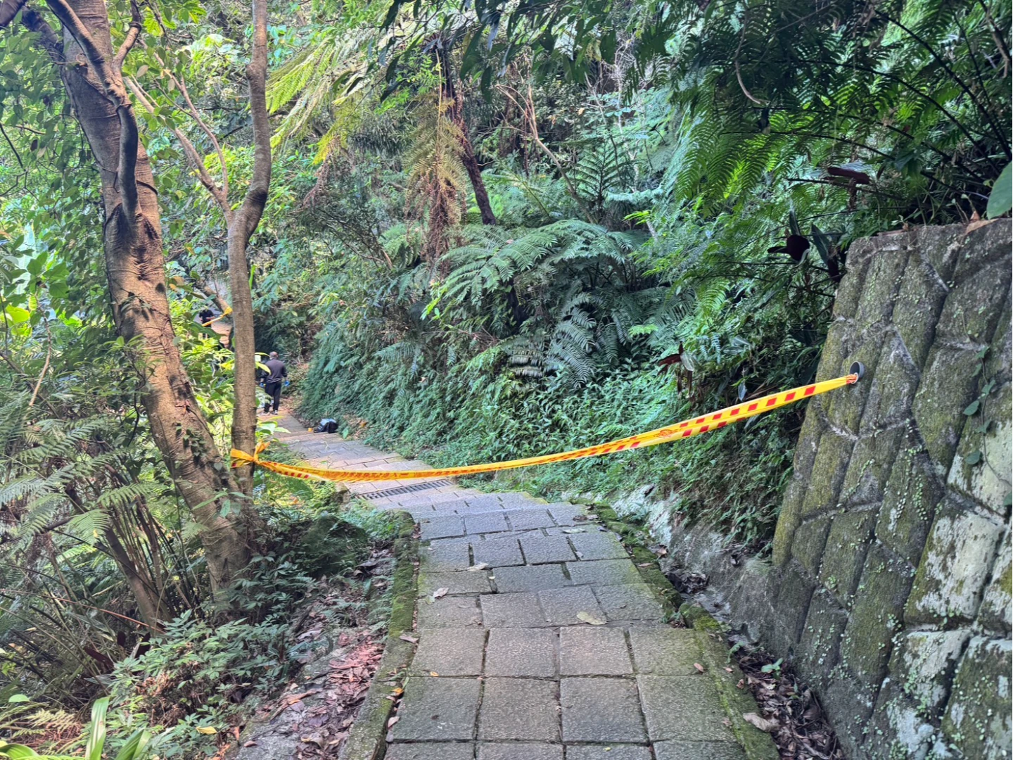 象山步道驚見男屍,警方調監視器釐清中。翻攝畫面