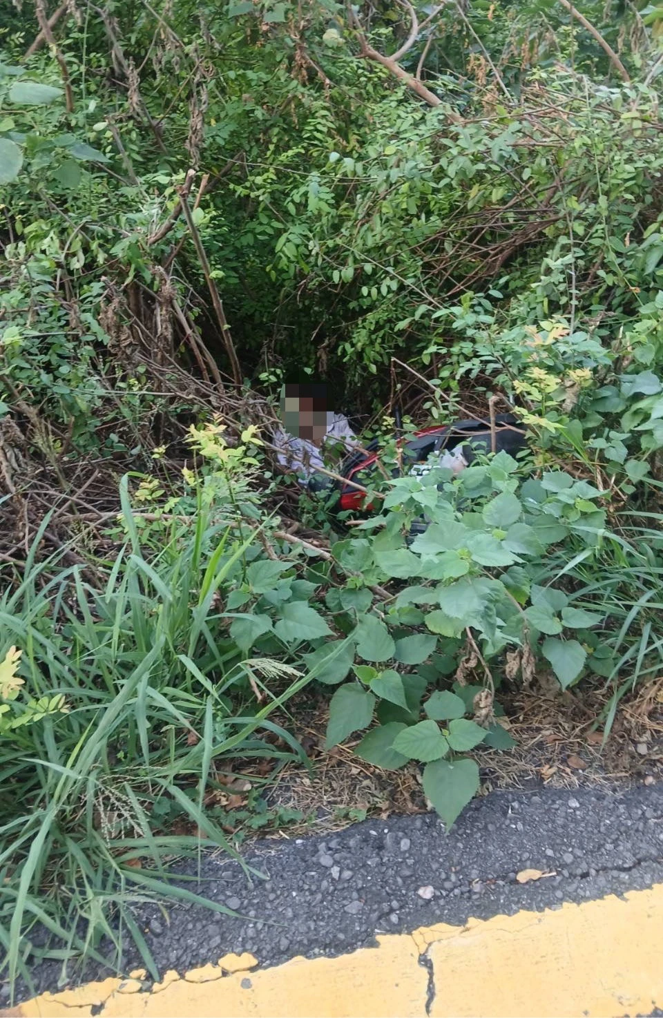 高雄吳姓老翁在柴山大道下坡處急煞,結果連人帶人滑落山坡。民眾提供