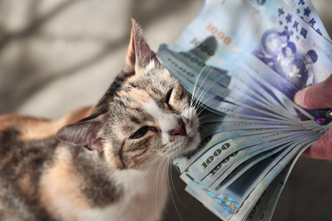 普發現金1萬元!一圖看懂未成年怎麼領 13歲以上可自己領