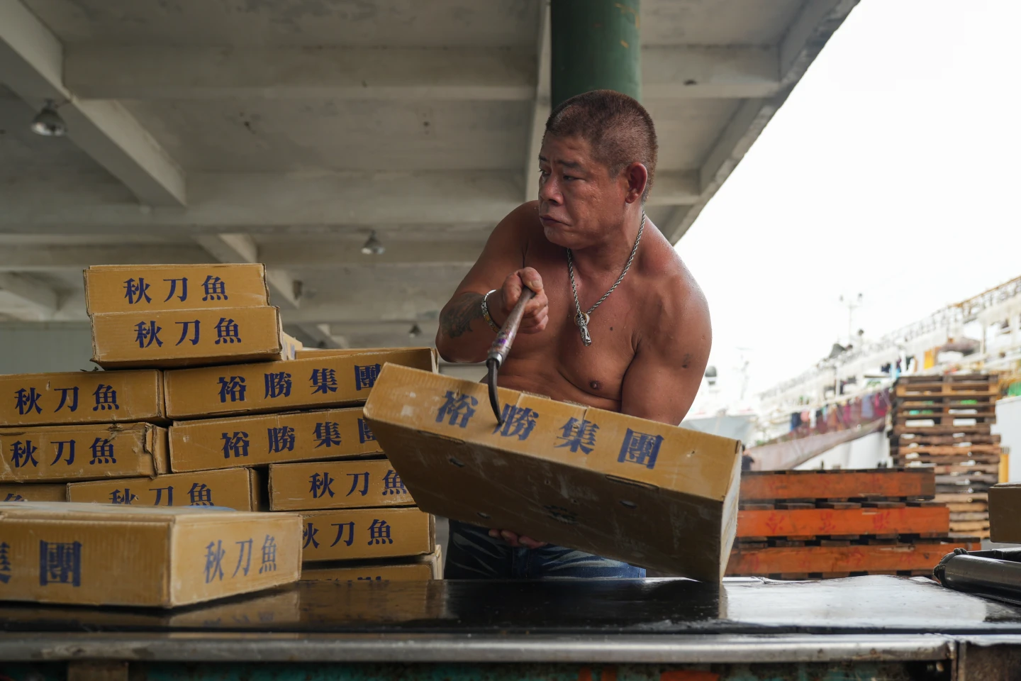 滿載秋刀魚的遠洋漁船回到高雄前鎮漁港卸魚,工作人員拿鐵勾搬運整箱的秋刀魚。李柏毅攝