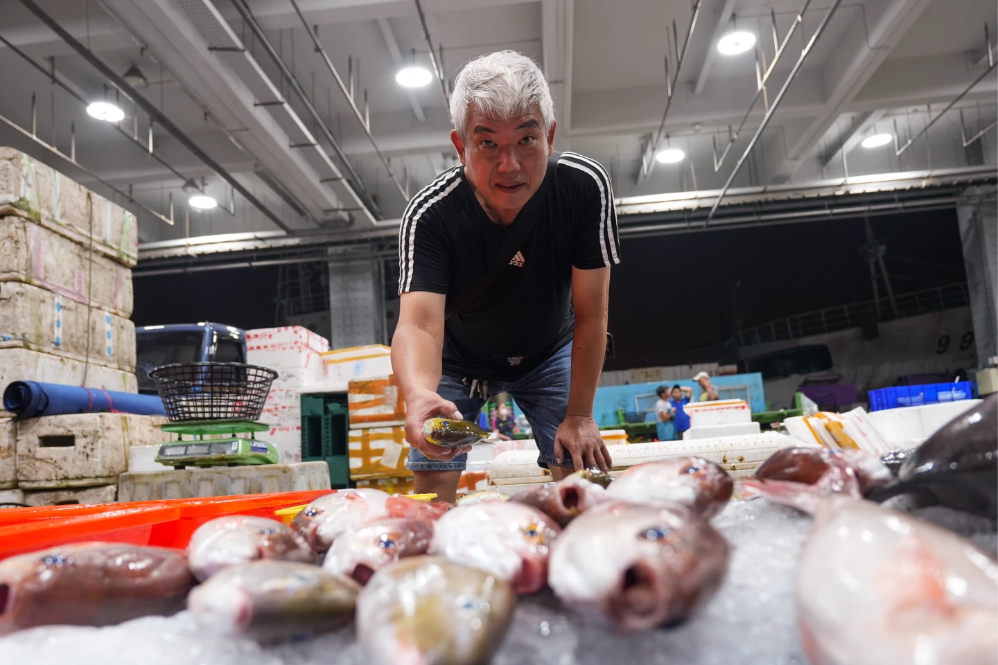 汪姓魚販在前鎮漁港的魚市場擺攤近十年,專賣「現流的」海釣魚。李柏毅攝