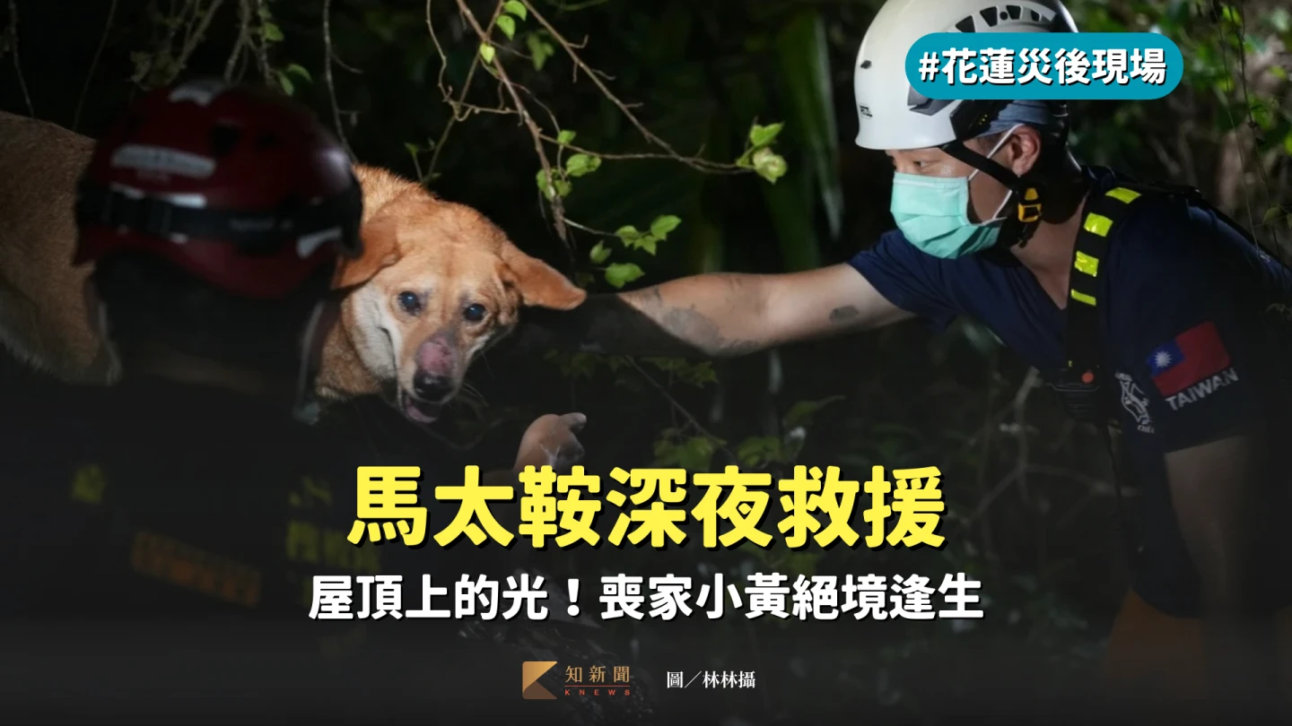 現場圖輯｜馬太鞍深夜救援　屋頂上的光！喪家小黃絕境逢生