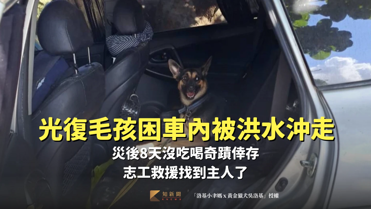 光復毛孩困車內被洪水沖走！災後8天沒吃喝奇蹟倖存　志工救援找到主人了