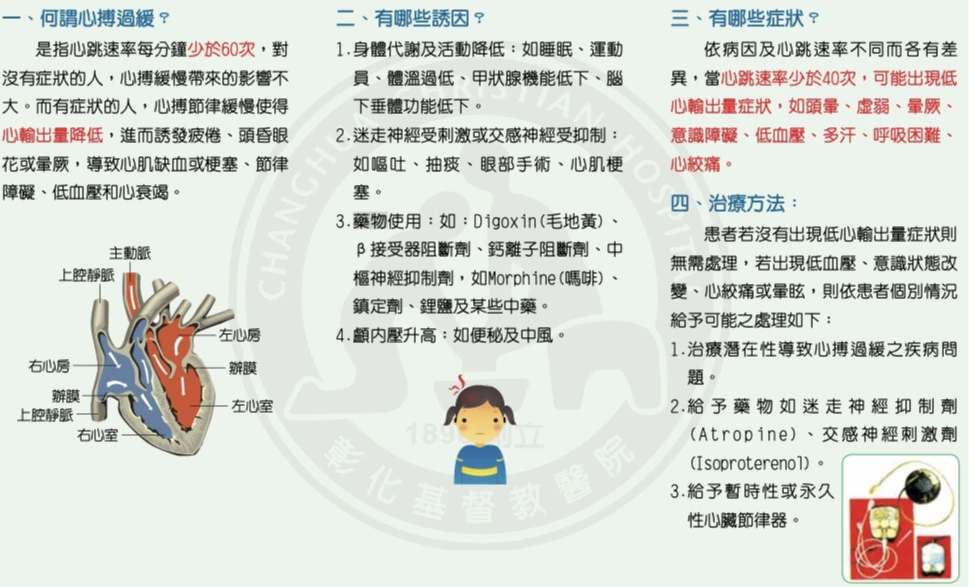 彰化基督教醫院指出,心搏過緩嚴重可能導致心絞痛。取自彰化基督教醫院