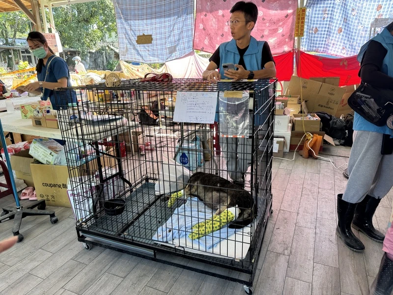 花蓮光復鄉堰塞湖溢流釀嚴重災情,許多寵物也成受災戶。花蓮動物醫療站救援超過120隻犬、貓、鴨子及烏龜等寵物,經治療後就會安置在醫療站,待狀況穩定後由飼主。中央社