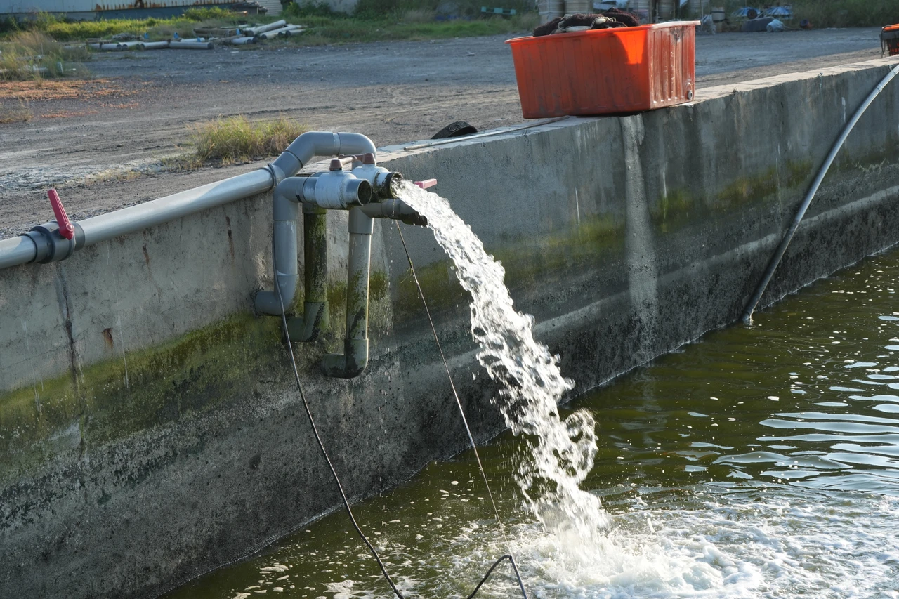 中油LNG冷排水成漁民眼中「鑽石水」 幫助高雄永安打造石斑魚王國