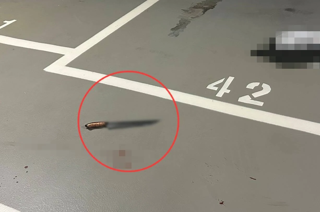 凶刀遺留現場。翻攝畫面