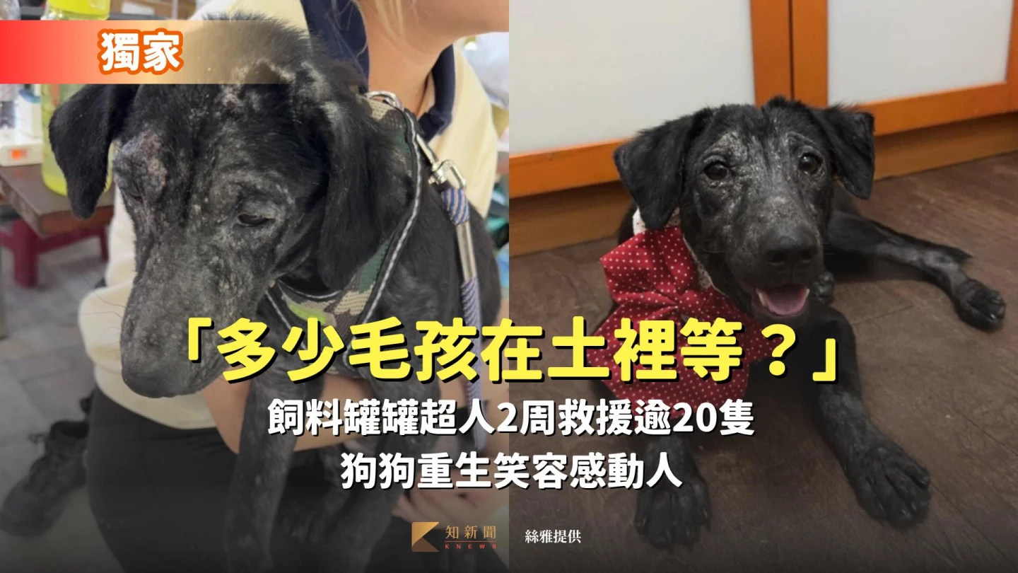 志工曾救出泥漿中的小狗,狗狗似乎驚嚇過度,但當帶回家洗澡疼愛後,當晚狗狗就笑了。絲雅提供