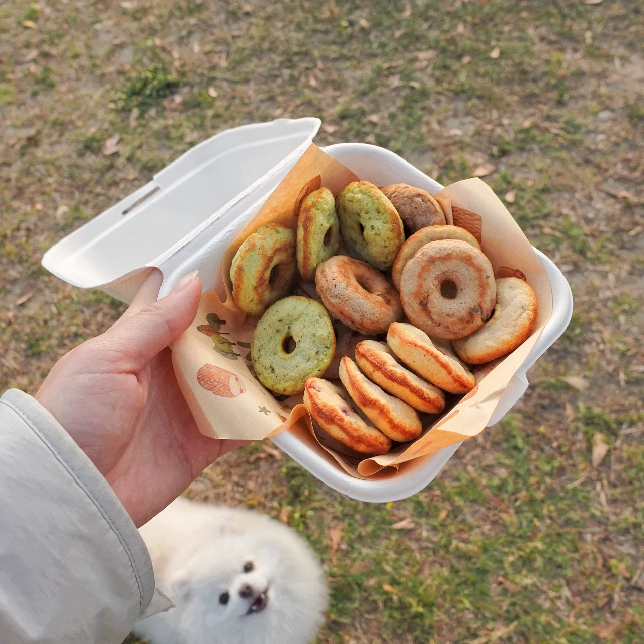 專為毛孩製作的點心。西拉雅風管處提供